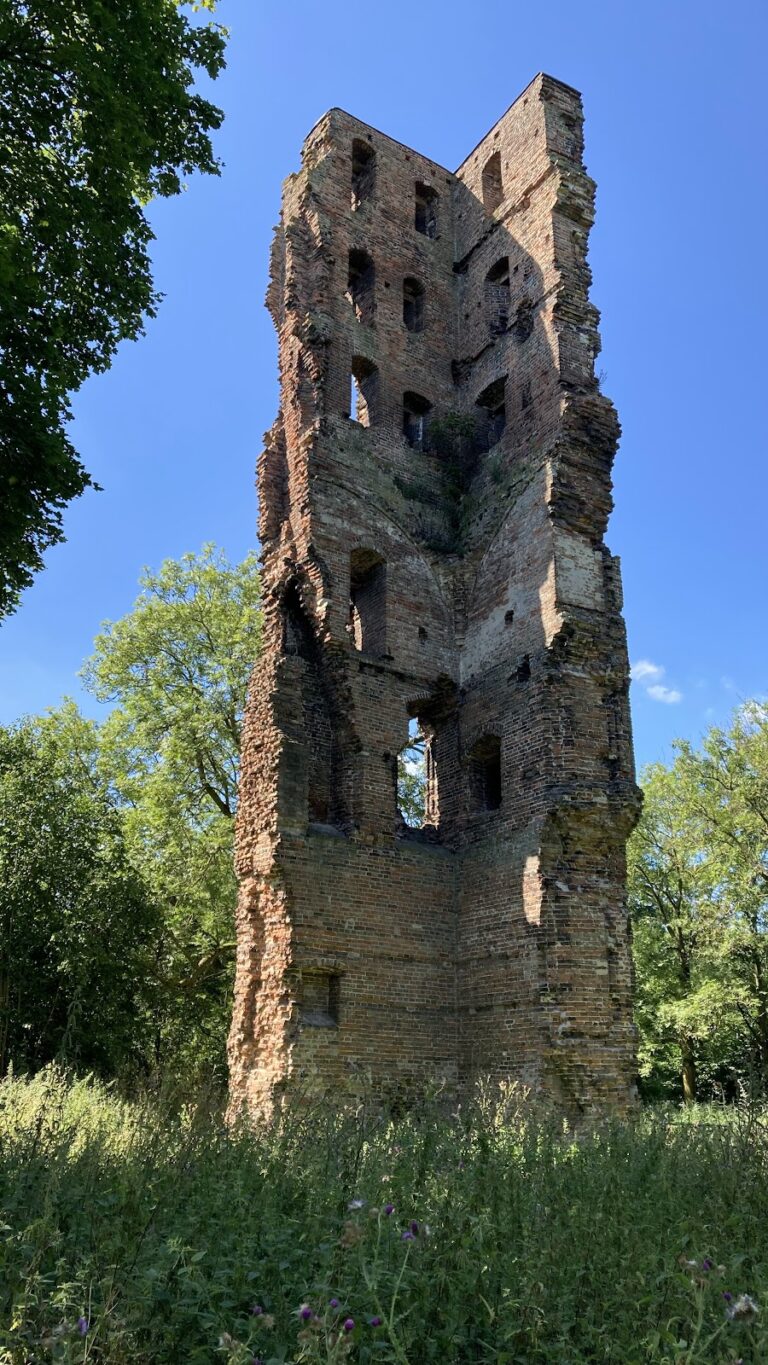 Kasteel Strijen: A Medieval Castle in the Netherlands
