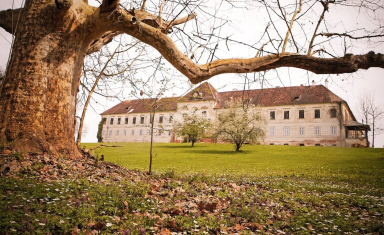 Schloss Kohfidisch: A Historic Castle and Lordship Residence in Austria