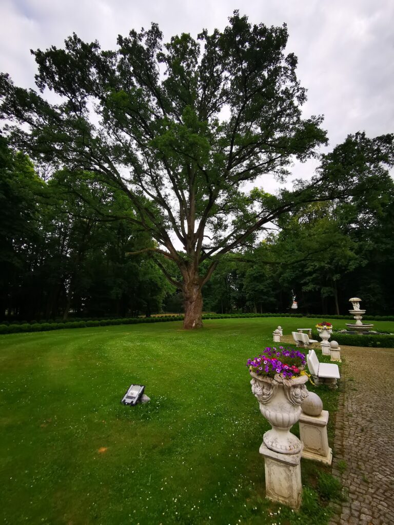 Schloss Stubendorf: A Neo-Baroque Palace in Poland 5 Schloss Stubendorf