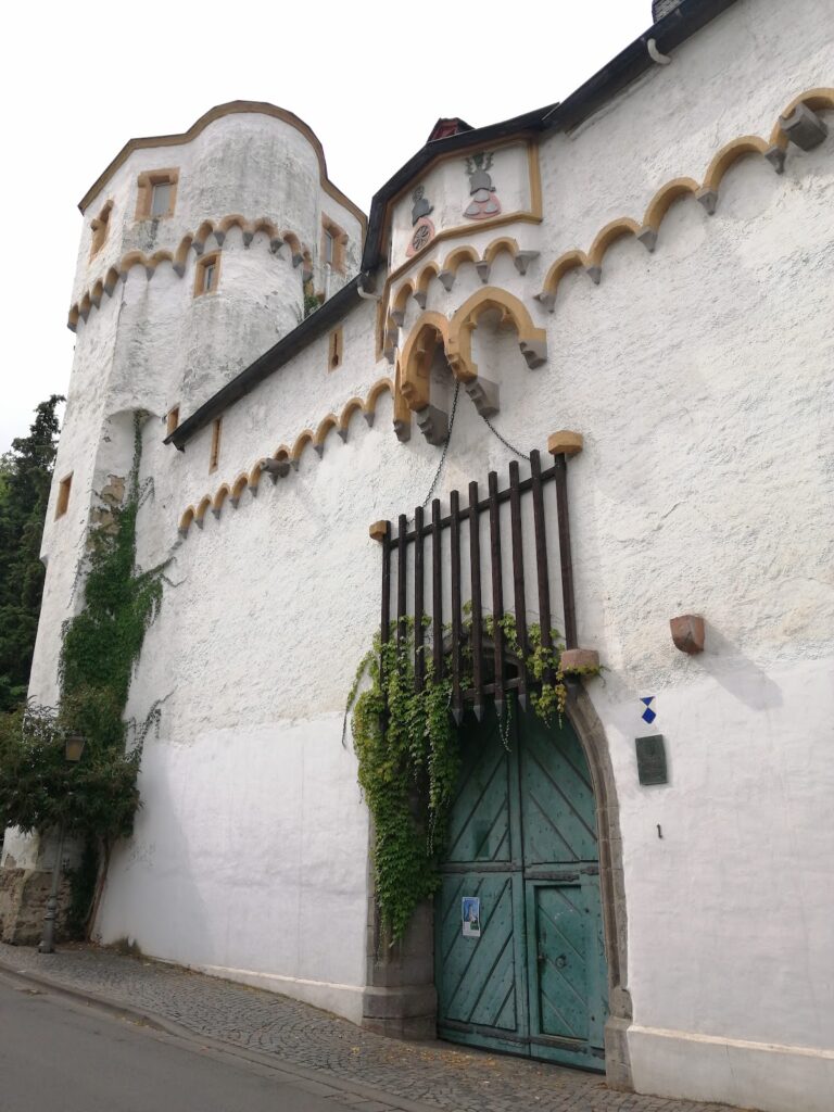 Martinsburg: A Customs Castle on the Rhine 2 Martinsburg