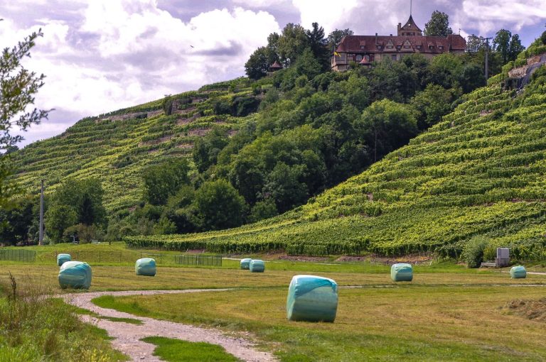Schloss Kleiningersheim: A Renaissance Residence in Germany