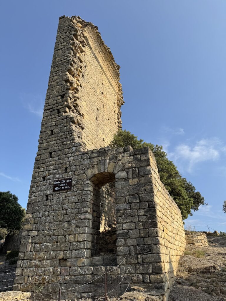 Château de Gicon