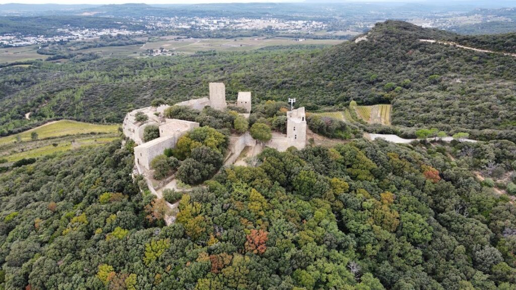 Château de Gicon