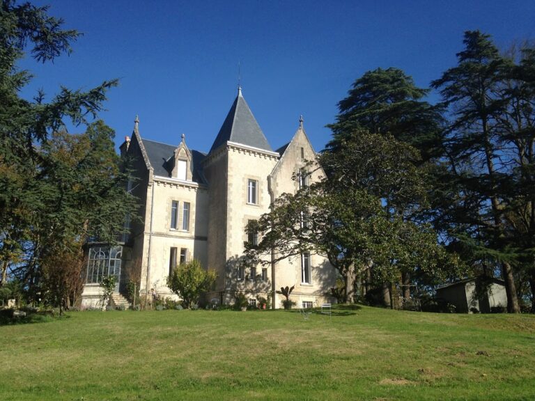 Château de Virazeil: A Historic Estate and Rehabilitation Centre in France