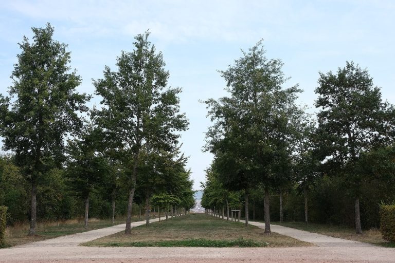Château de Brabois: A Historic Estate and Park in France