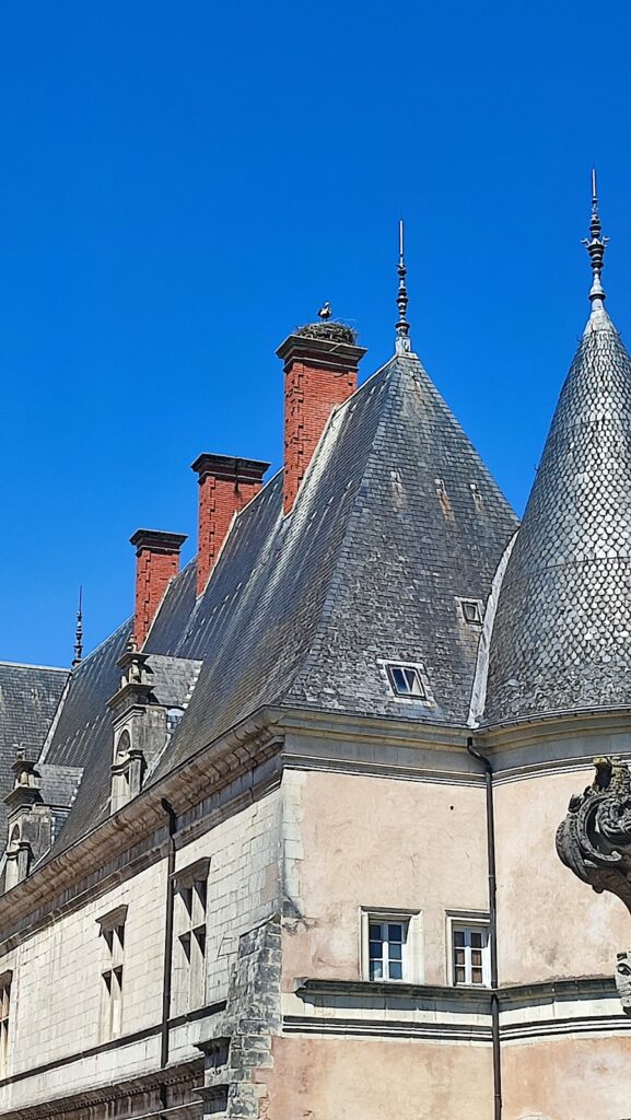 Château de Fléville: A French Renaissance Residence in Lorraine 5 Château de Fléville