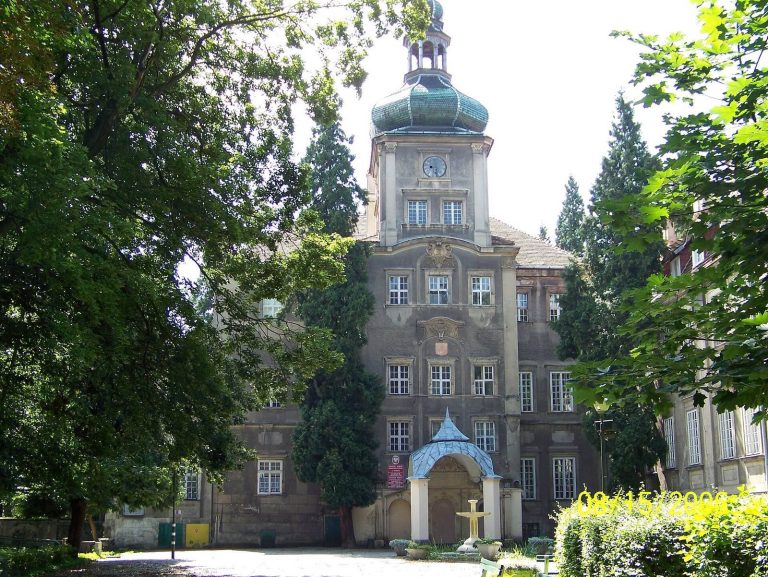 Palace in Iłowa: A Historic Residence in Poland