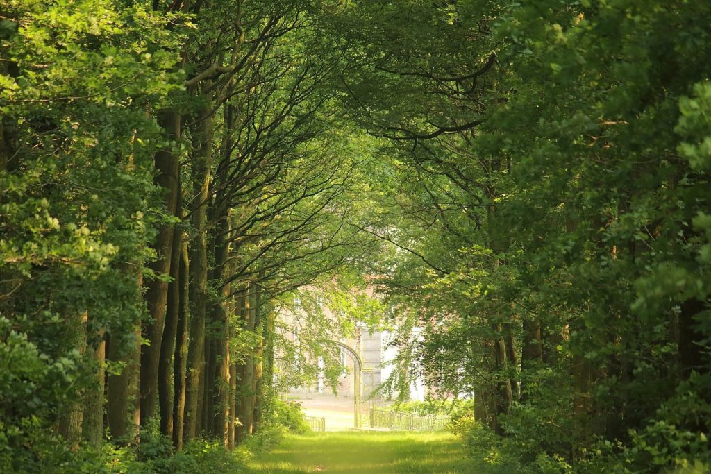 Kasteel Ten Bieze