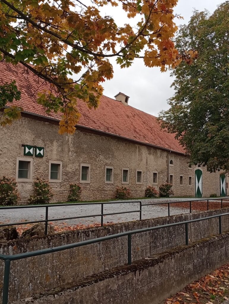 Schloss Welda