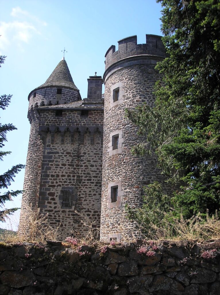 Château des Ternes: A Medieval and Renaissance Castle in France 2 Château des Ternes (Les Ternes)