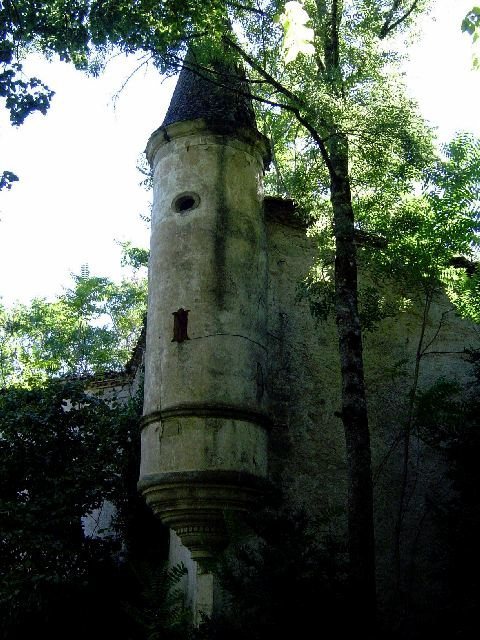 Montpinier Castle: A Former Fortified Residence in France