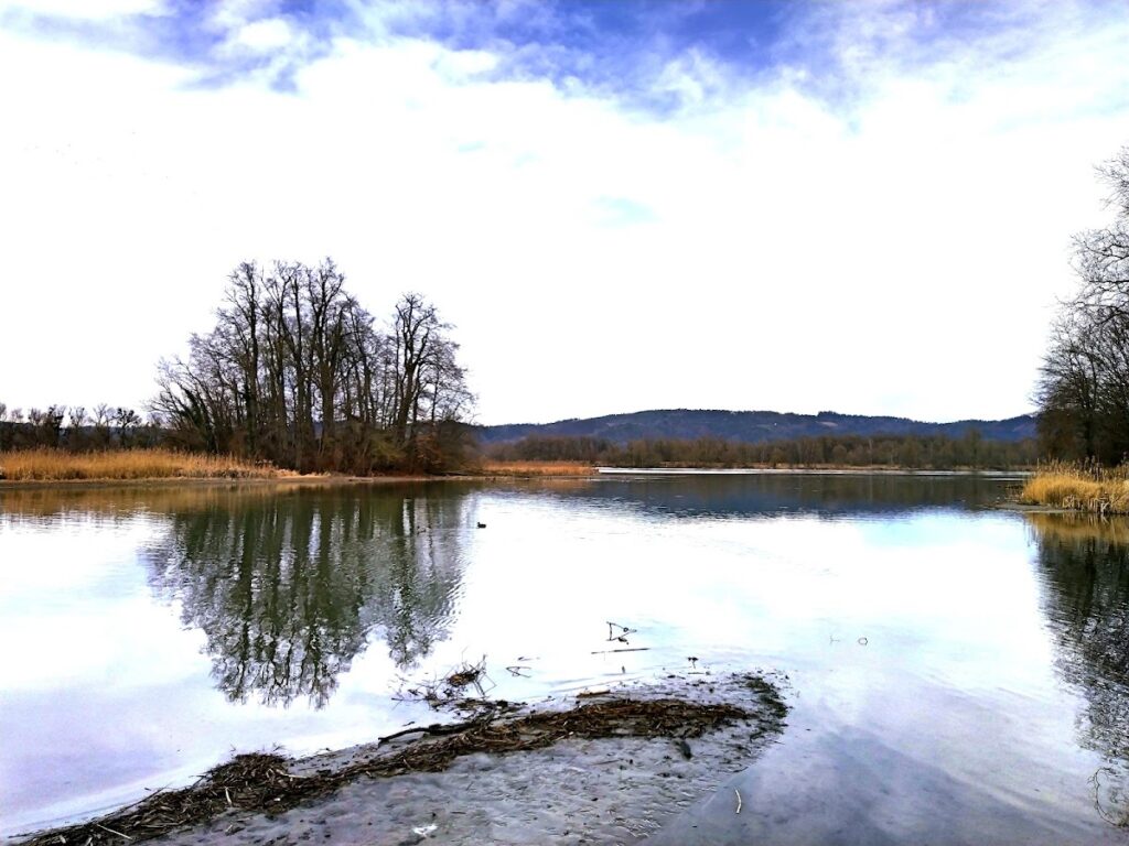Schloss Hagenau