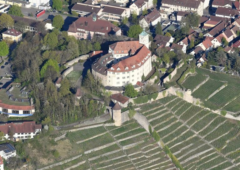 Schloss Kaltenstein: A Historic Castle and Palace in Vaihingen an der Enz