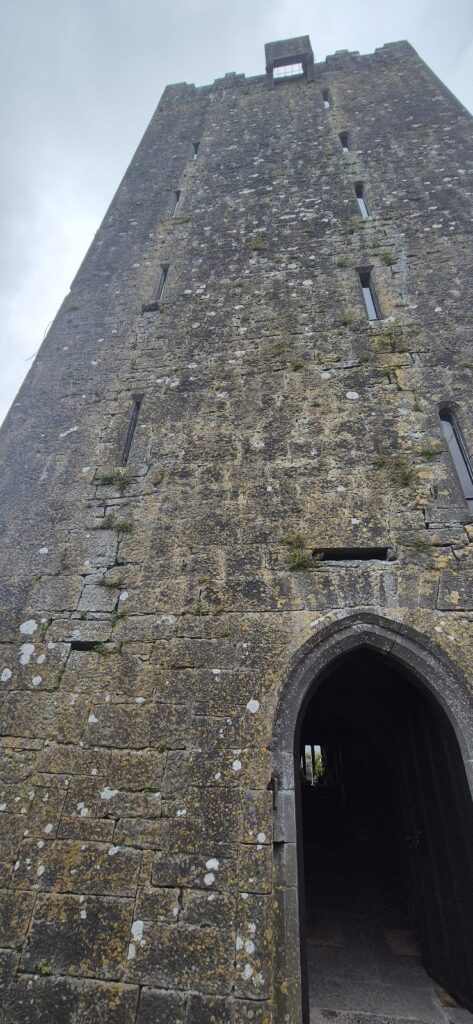 Ballyportry Castle: A Fifteenth-Century Irish Tower House 2 Ballyportry Castle