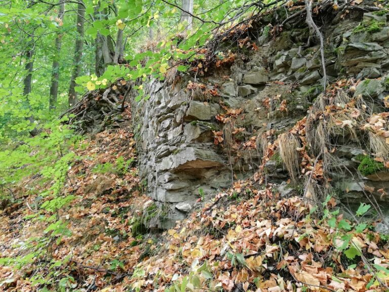 Tepenec Castle: A Medieval Margravial Administrative Center in Czechia