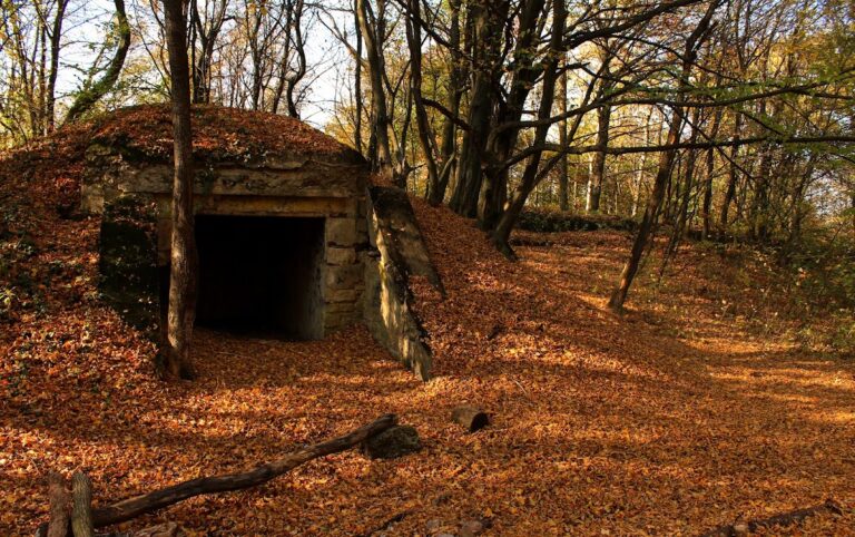 Przemyśl Fort VI “Helicha”: a mid‑19th‑century artillery fort in Poland
