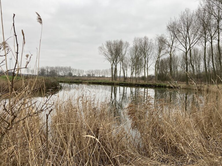 Fort Sint-Marie: A Scheldt Defensive Fortification in Belgium