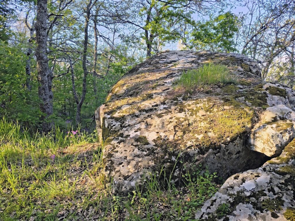 Croccia-Cognato: An Ancient Oscan-Samnite Fortified Settlement in Italy 2 Croccia-Cognato