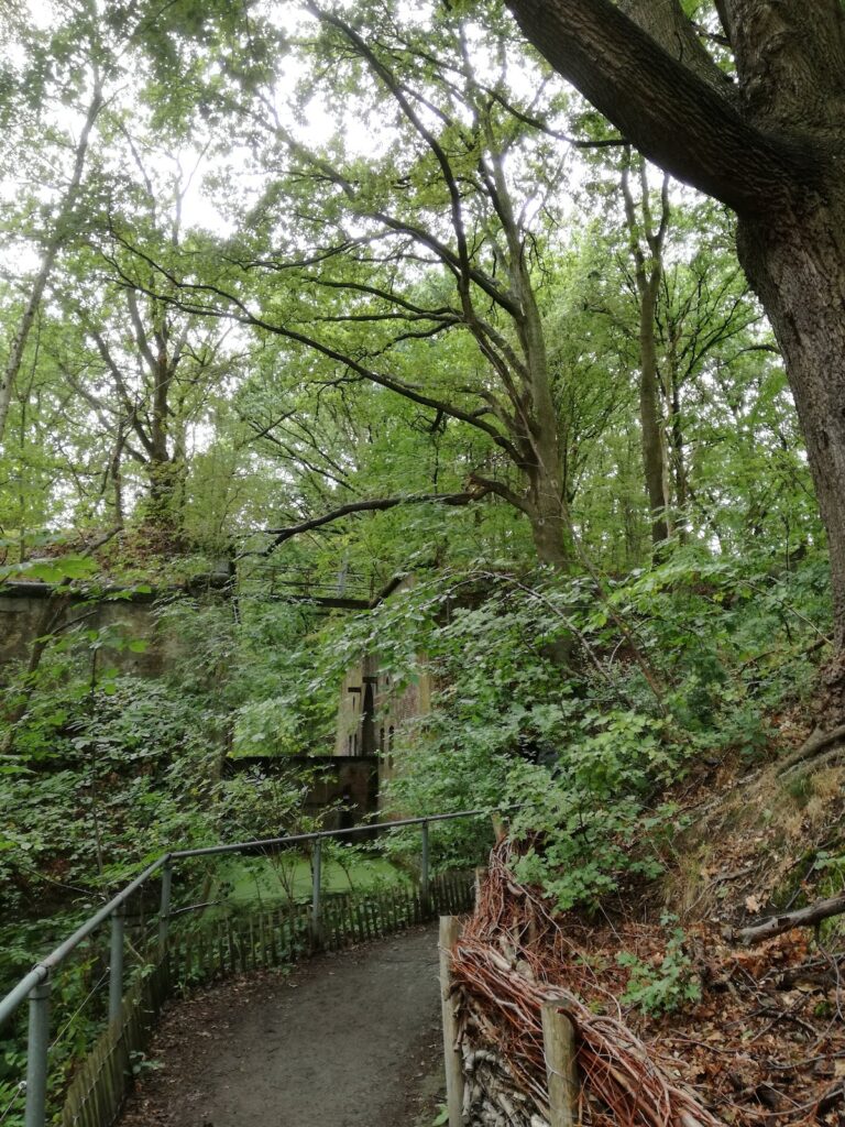 Fort 5