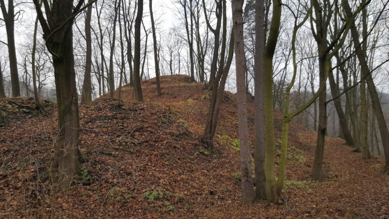 Varta Castle: A Medieval Castle in Czechia