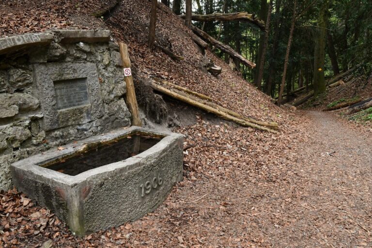 Manegg Castle: A Medieval Hill Castle above Zurich