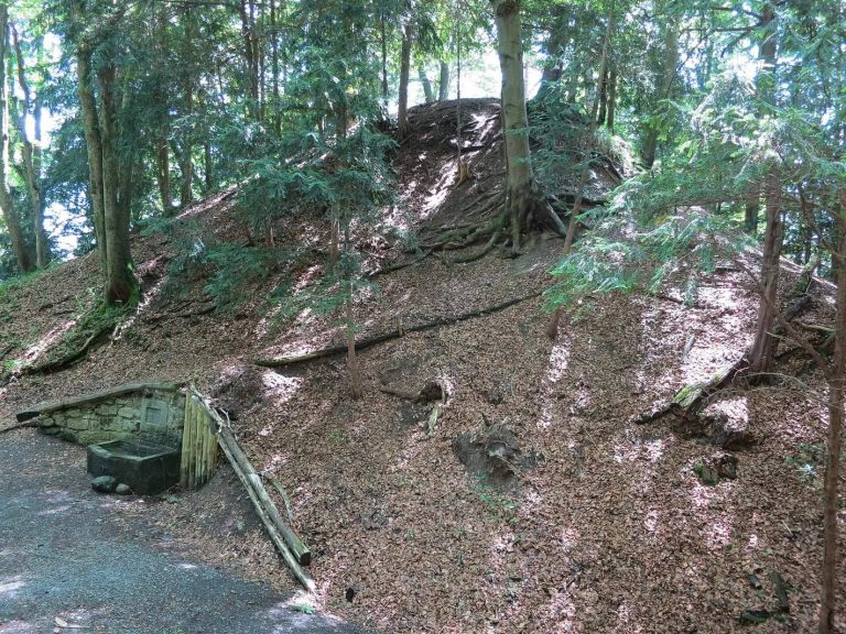 Manegg Castle: A Medieval Hill Castle above Zurich