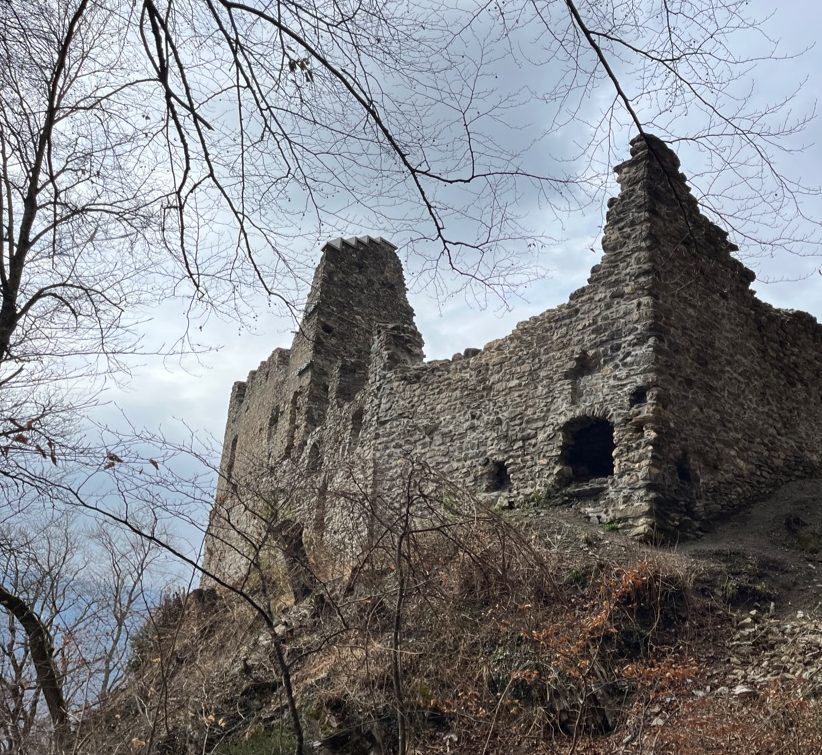 Wynegg Castle: A Medieval Hill Castle and Seat of a Small Lordship 2 Wynegg Castle