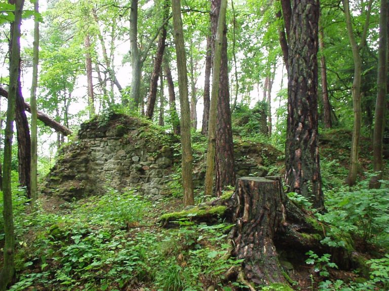 Křikava: A Medieval Spur Castle in Czechia