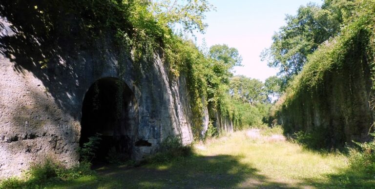 Fort de Marchovelette: Belgian Fort in the Namur Defenses