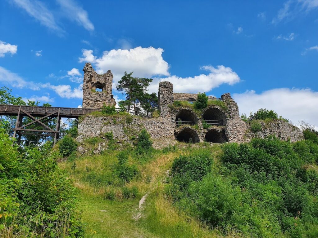Zubštejn Castle Ruins: A Medieval Stronghold in Czechia 2 Zubštejn Castle Ruins