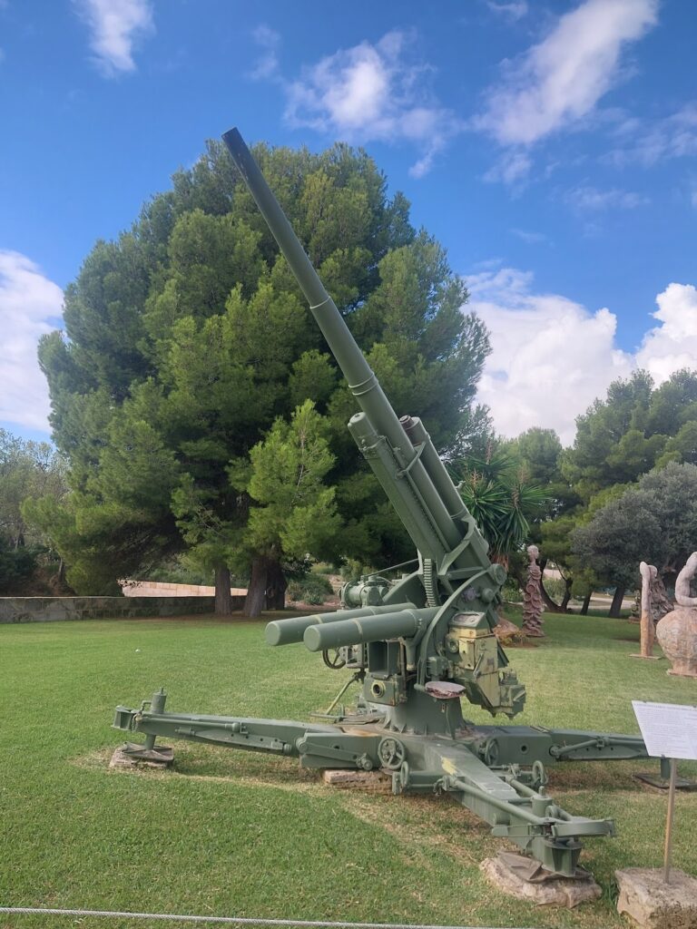 Fort San Carlos