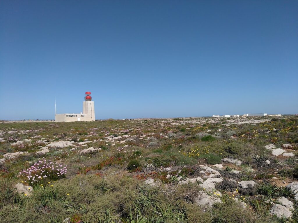 Fortaleza de Sagres: A Portuguese Coastal Fortress in the Algarve 5 Fortaleza de Sagres