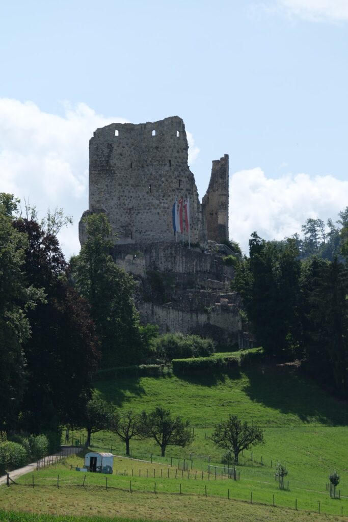 Pfeffingen Castle: A Medieval Hill Castle in Switzerland 2 Pfeffingen Castle