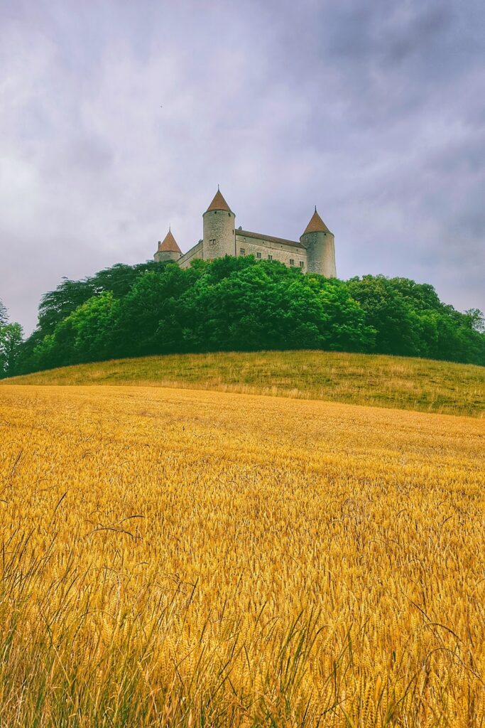 Champvent Castle: A Medieval Fortified Residence in Switzerland 2 Champvent Castle