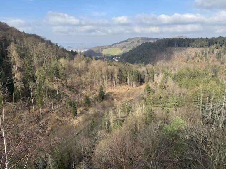Fredevald: A Medieval Castle Ruin in Czechia