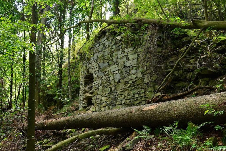 Fredevald: A Medieval Castle Ruin in Czechia
