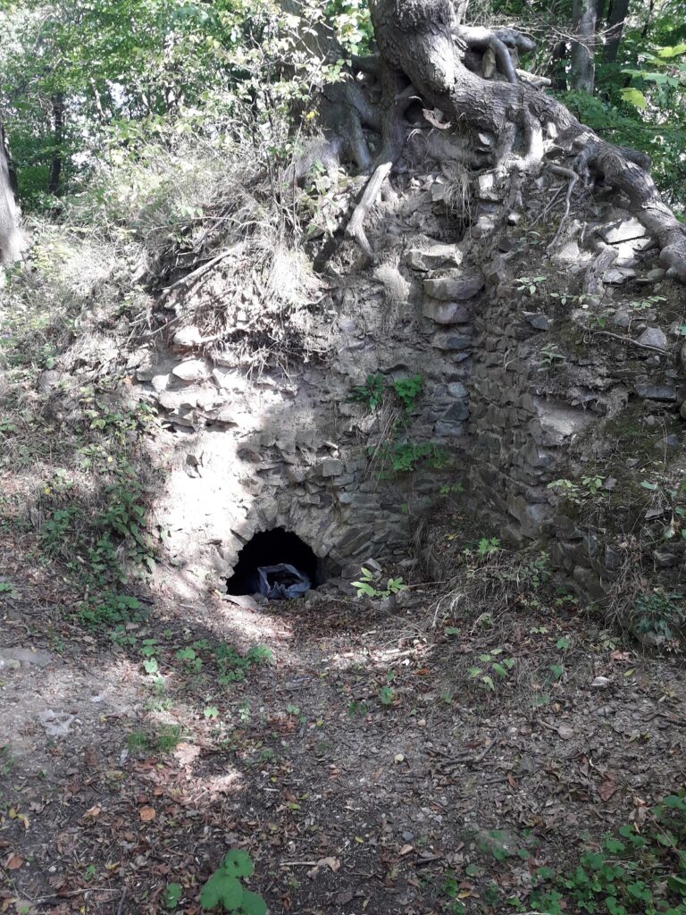 Vartnov: A Medieval Hilltop Castle in Czechia