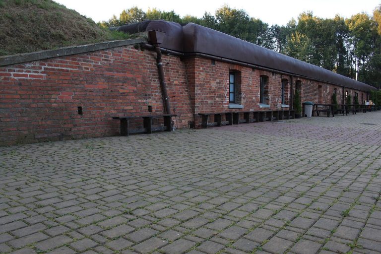 Auxiliary Infantry Fort 39 “Olszanica”: A Kraków Fortress Fort in Poland