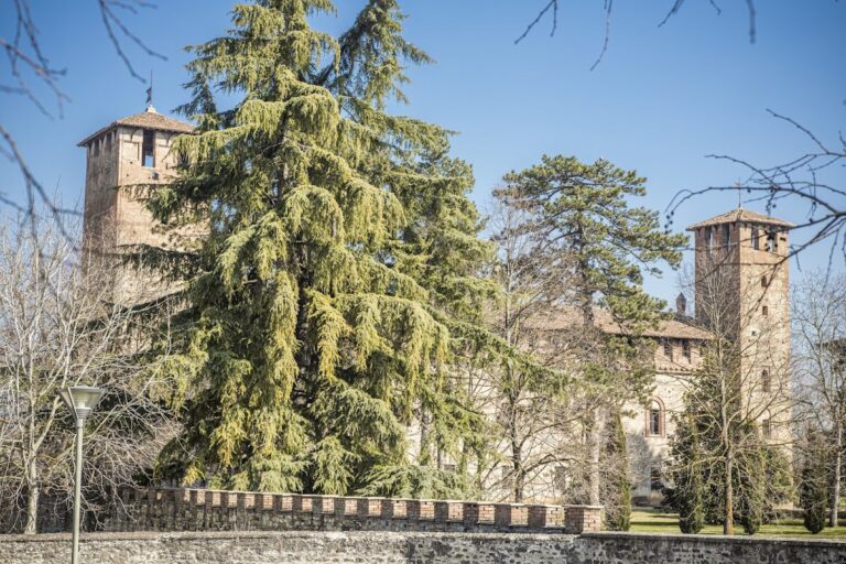 Vigolzone Castle: A Medieval Fortress and Residence in Italy