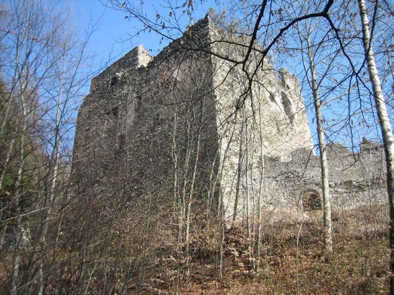Neu-Aspermont Castle: A High-Medieval Spur Castle in Switzerland