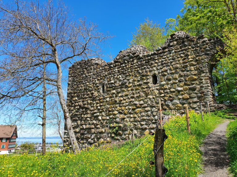 Steinerburg: Medieval Castle Ruins in Switzerland