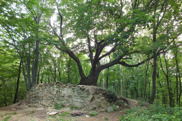 Zuvačov: A Gothic Bergfried Castle in Czechia