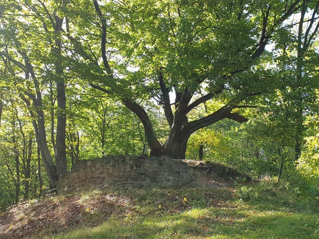 Zuvačov: A Gothic Bergfried Castle in Czechia 1 Zuvačov