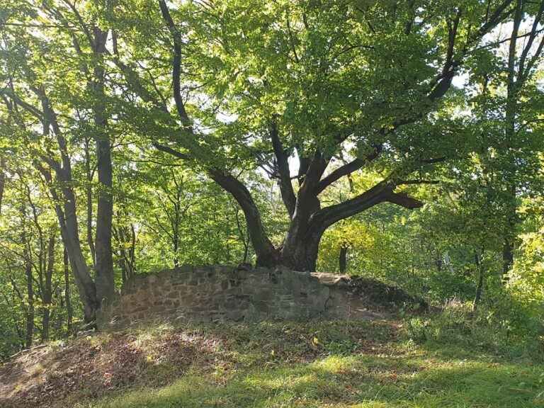 Zuvačov: A Gothic Bergfried Castle in Czechia