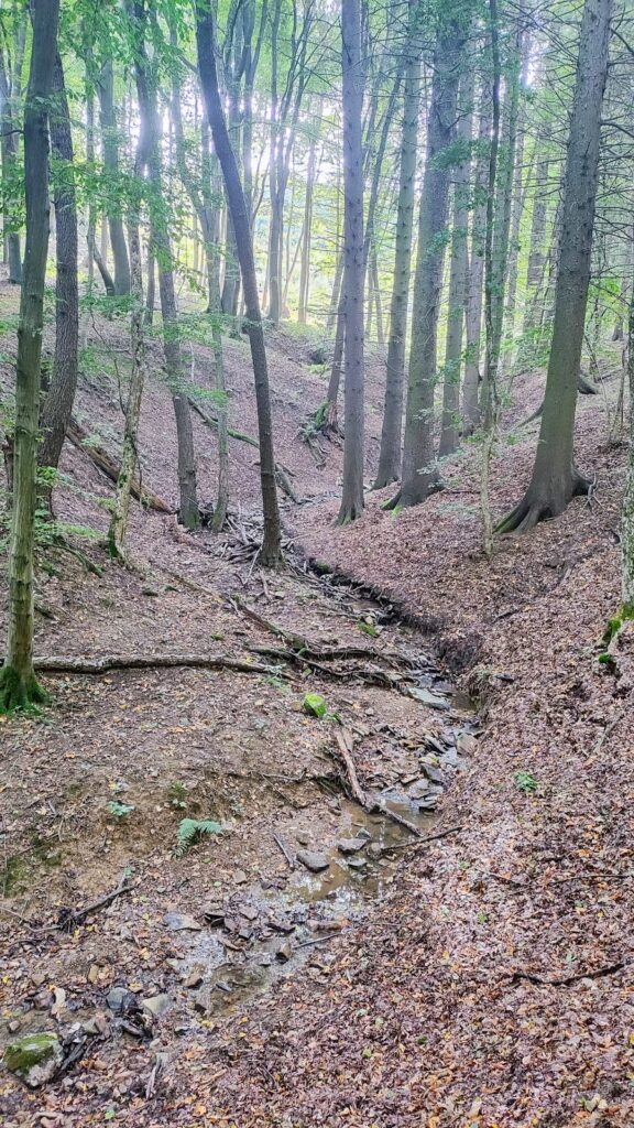 Zuvačov: A Gothic Bergfried Castle in Czechia 2 Zuvačov