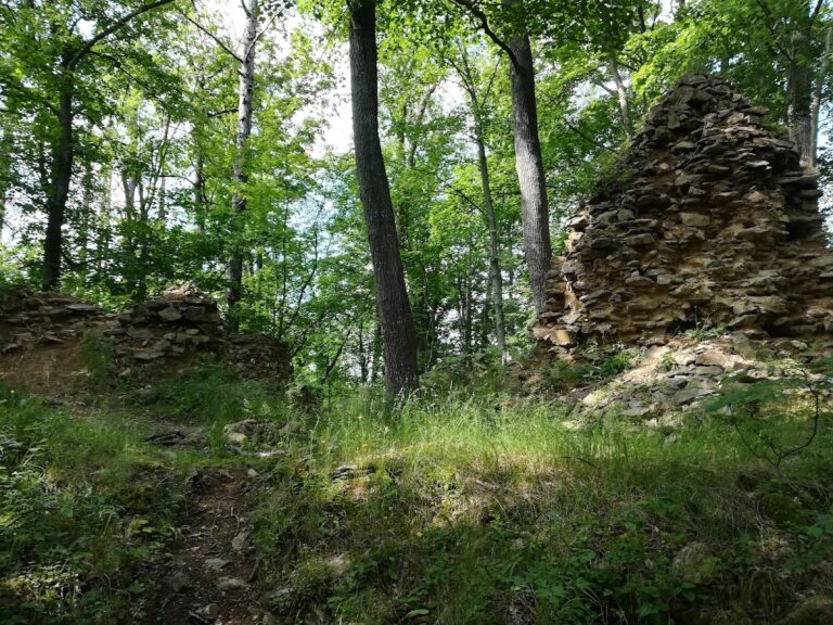 Pušperk Castle: A Medieval Hilltop Fortress in Czechia