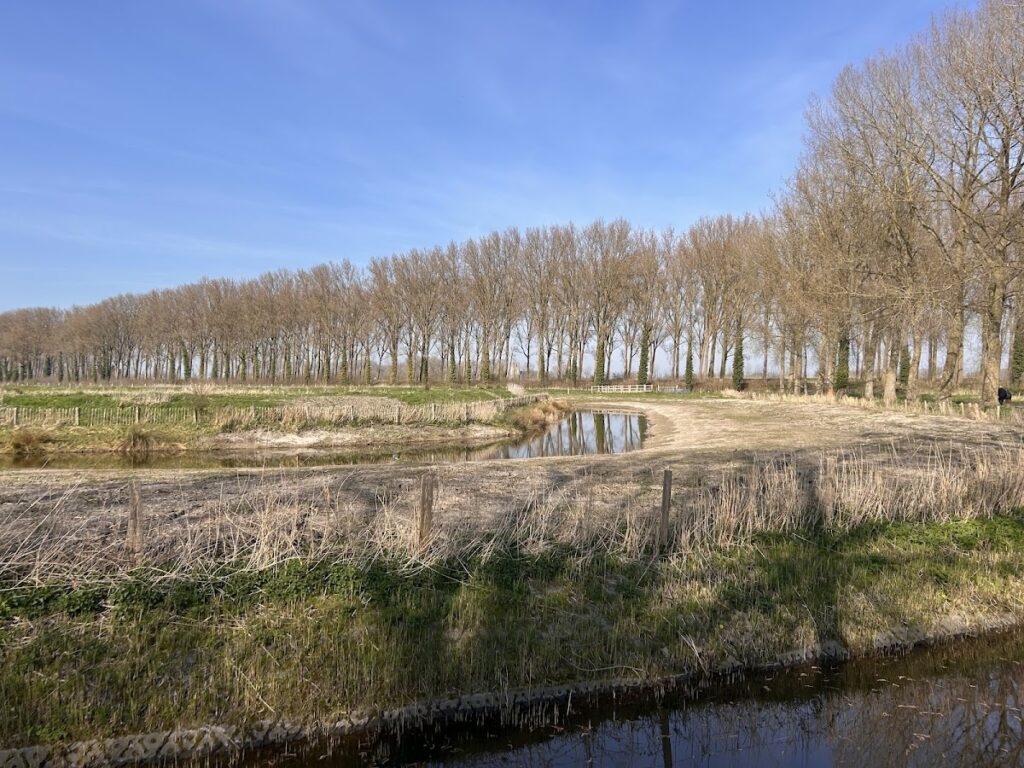 Verbrand Fort: A French Redoubt and Nature Reserve in Belgium 1 Verbrand Fort