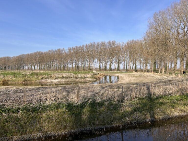 Verbrand Fort: A French Redoubt and Nature Reserve in Belgium