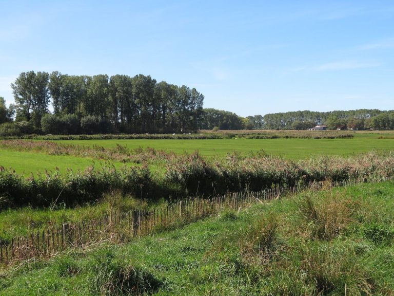 Verbrand Fort: A French Redoubt and Nature Reserve in Belgium