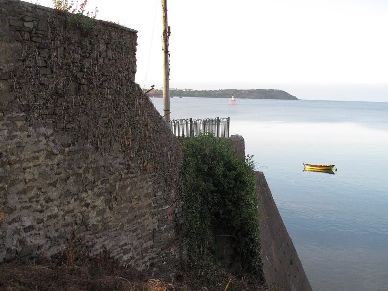 Cove Fort: A Coastal Defence Fortification in Ireland